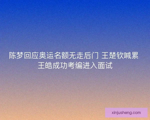 陈梦回应奥运名额无走后门 王楚钦喊累 王皓成功考编进入面试